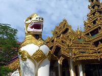 1 - Nice-Yangon - Kyaikhtiyo (Rocher d''or) (20)